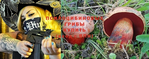 а пвп мука Алзамай