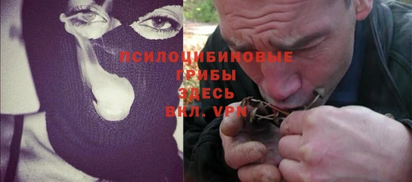 а пвп мука Алзамай