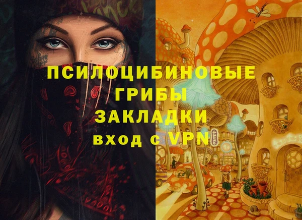 прущие крисы Алексеевка
