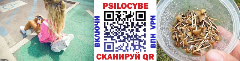 Псилоцибиновые грибы мицелий  цены   блэк спрут tor  Алупка 