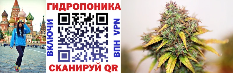 Бошки Шишки марихуана  купить наркотик  Алупка 